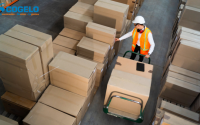 ¿Cómo una empresa 3PL puede ayudarte a mejorar la eficiencia operativa de tu cadena de suministro?