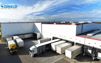 Operador logístico en Madrid vs empresa de transporte: diferencias claves para elegir bien